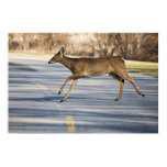 Middle Of The Road