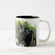 Middle Tennessee Mule Skinners Coffee Mug