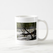 Middlebury Falls     Vermont Coffee Mug
