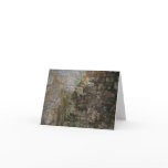 Middlebury Gorge 08 - Customized Greeting Cards