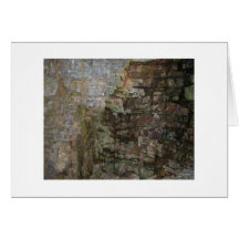 Middlebury Gorge 08 Greeting Card
