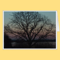 Middlecreek Tree folded card cards