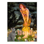 MidEve - russian Blue cat Postcards