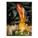 MidEve - Seal Point Siamese cat Postcard