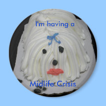 Midlife Crisis Magnet