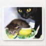 Midnight and Ava Mouse Mat