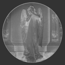 Midnight Angel plates