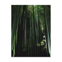 Midnight Bamboo postcards