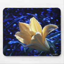 Midnight Beauty mousepads