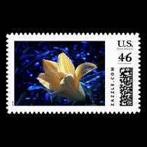 Midnight Beauty stamps