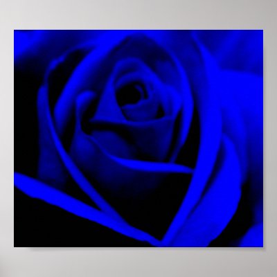 midnight_blue_rose_poster_print-p228619531901210028t5ta_400.jpg