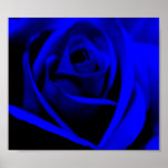 Midnight Blue Rose - poster/print