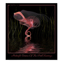 Midnight Dance Of The Pink Flamingo posters