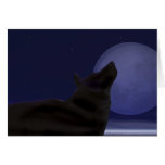 Midnight Howl cards