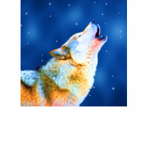 Midnight Howl t-shirts by natureswild Midnight Howl t-shirts