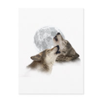 Midnight Howling Post Card