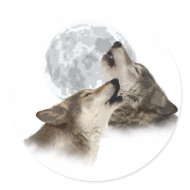 Midnight Howling sticker