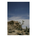 Midnight in the Mojave posters by boisvertfj Midnight in the Mojave posters