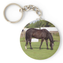 midnight keychains