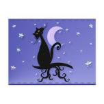 Midnight Kitty Postcard