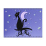 Midnight Kitty Postcard