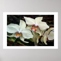orchid, abstract, art, background, beautiful, beauty, border, bouquet, bud, contemporary, creative, decorative, delicate, design, elegant, element, exotic, floral, flores, flower, fractal, fragile, fragrance, fresh, gardening, green, illustration, leaf, life, leaves, nature, ornament, ornate, pattern, perfume, petal, plant, seasonal, smell, spring, Poster with custom graphic design
