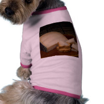 Midnight Moon Gouda Cheese pet clothing