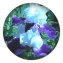 Midnight Moonlight Iris stickers