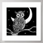 Midnight Owl Posters