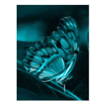 Midnight Passion, Blue Butterfly Kisses Post Card