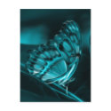 Midnight Passion, Blue Butterfly Kisses postcards