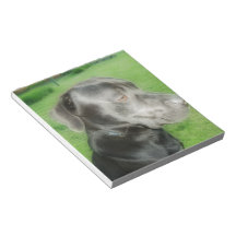 Midnight Pose Orton Styled Photo Note Pad
