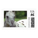  Midnight postage