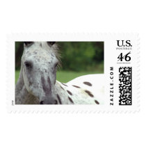 Midnight postage by koduckgirl Midnight postage