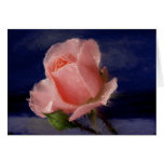 Midnight Rose cards