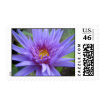Midnight Serenade postage