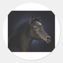 Midnight Stickers