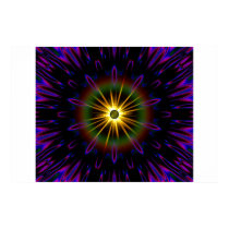 Midnight Sun  posters