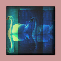 Midnight Swan magnets