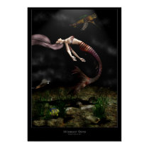 Midnight Swim posters