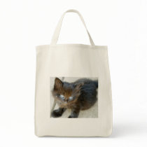 Midnight the Kitten bags