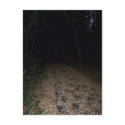 Midnight Trail postcards by CorpseRomance Midnight Trail postcards