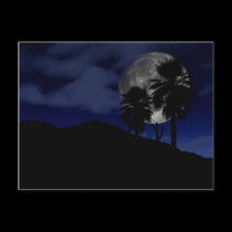 Midnights Mystery Postcard postcards