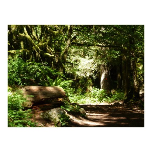 Midsummer Magic print
