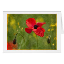 Midsummer Meadow Cards