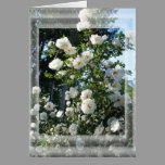 Midsummer Roses cards