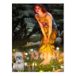 Midsummers Eve - Shih Tzu (P) Post Cards