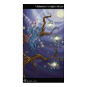 Midsummer's Nights Dream posters