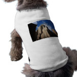 Midtown Skyscraper, New York City Dog Tee Shirt