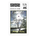 Midwest Beauty postage